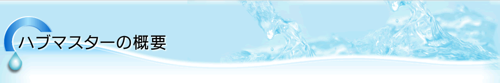 ハブマスターの概要